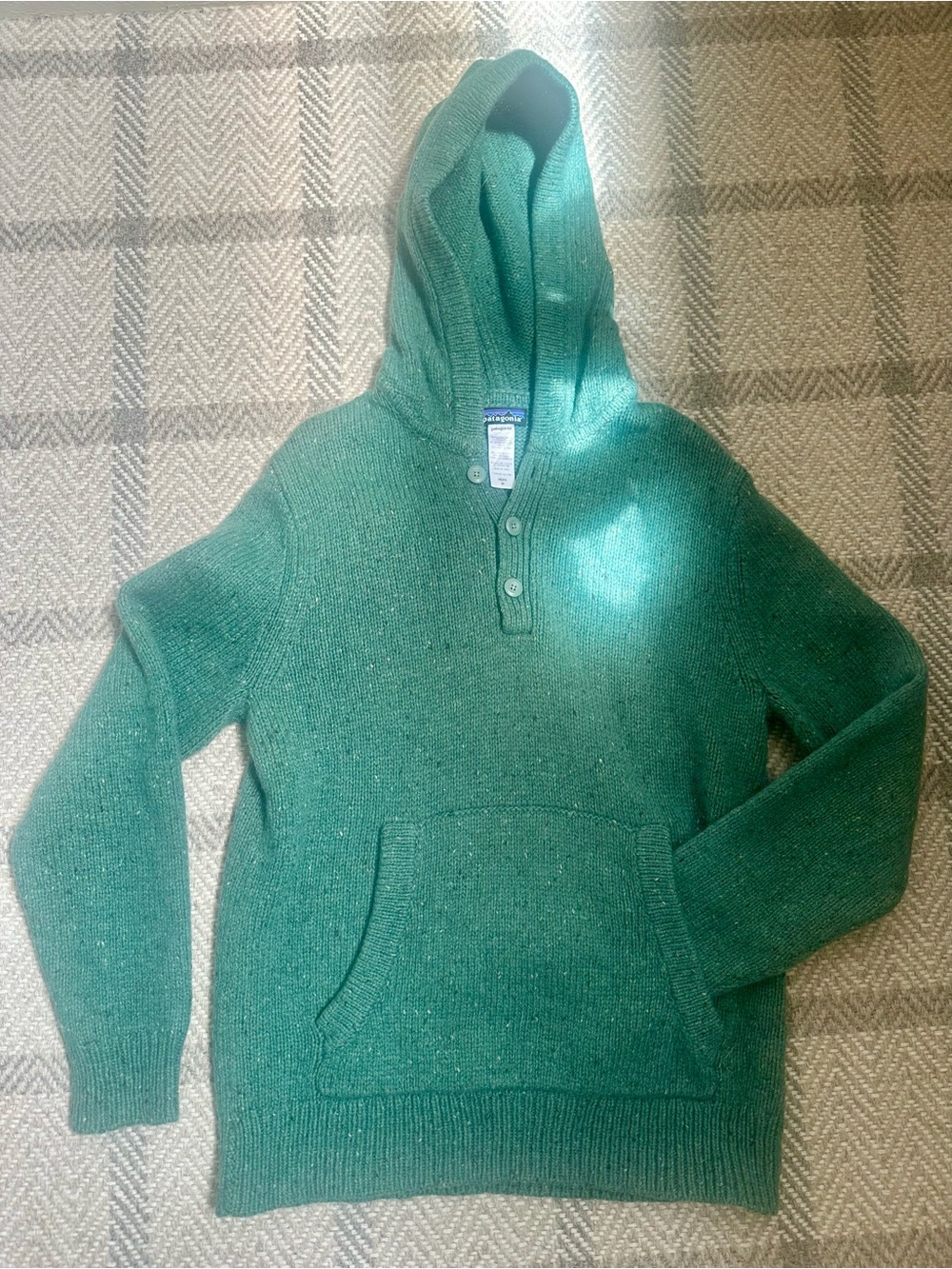 Patagonia wool hoodie